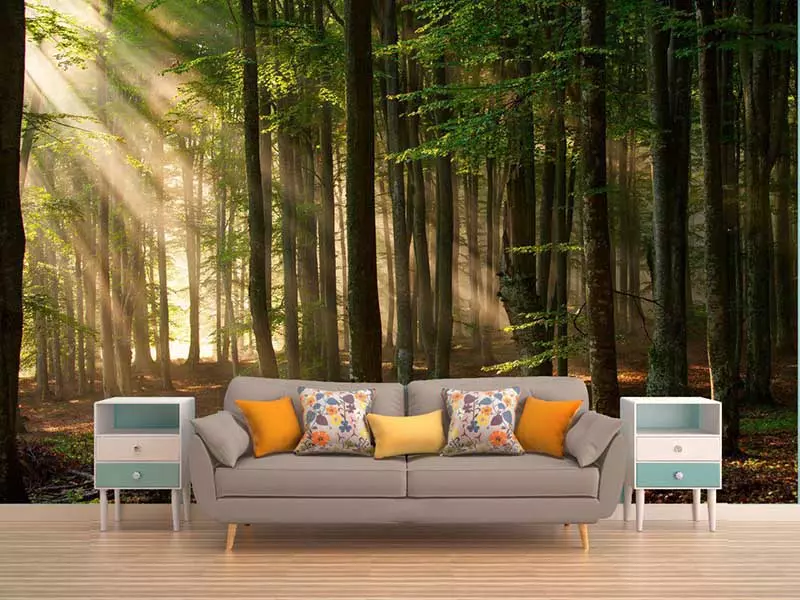 کاغذ دیواری در طرح ها و رنگ های متنوع