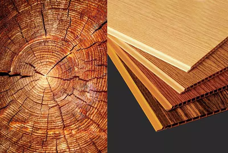 جایگاه عناصر طبیعی در فضاهای مسکونی