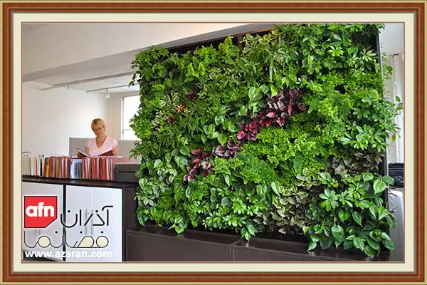 پارتیشن گیاهی